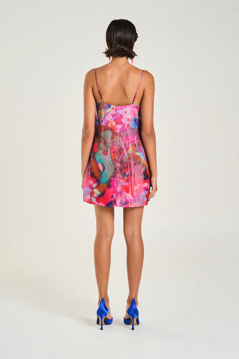 Shift Dress-Fish Tank